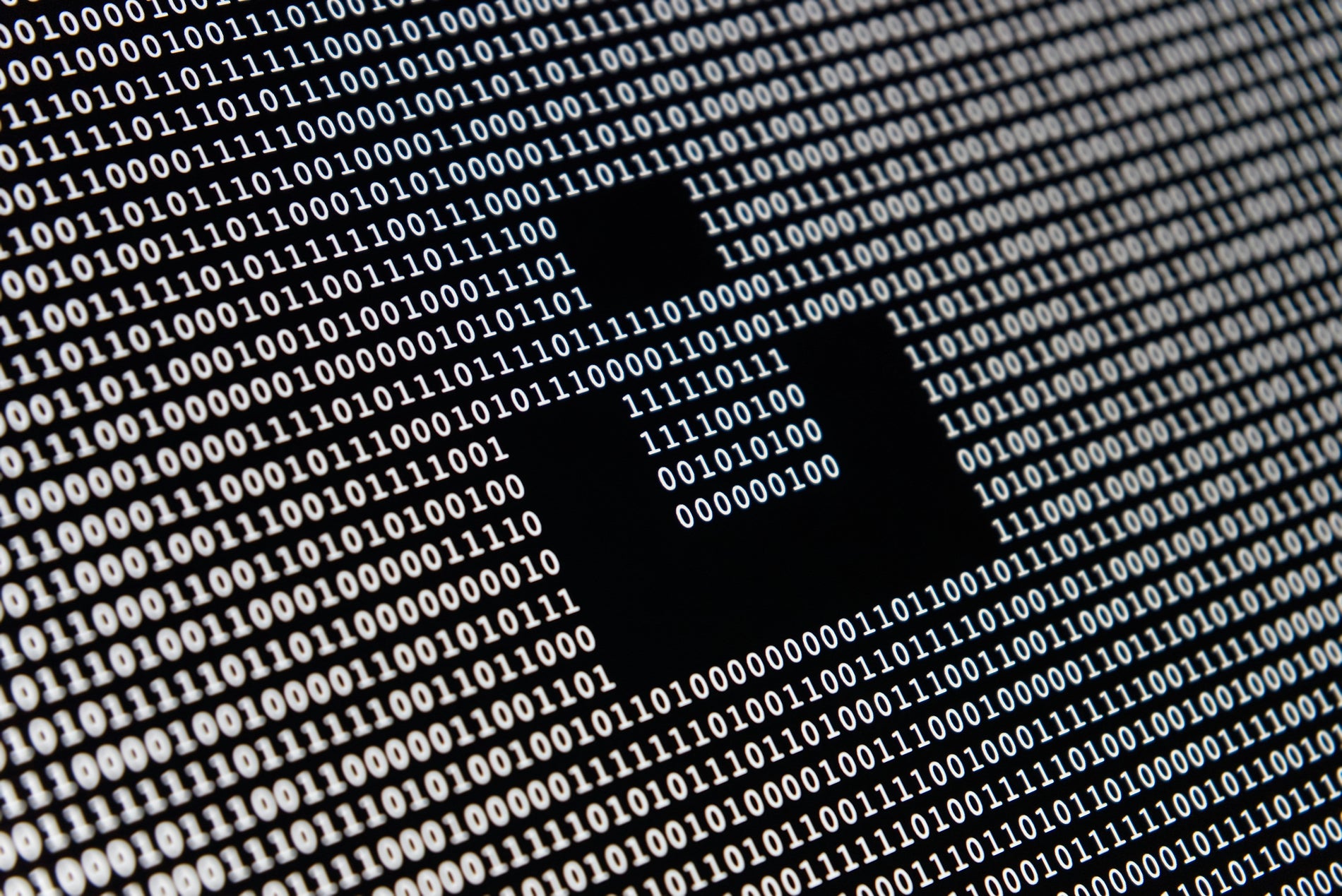 Unsplash Artists Recognition